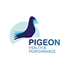 pigeon_hp